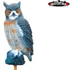 Buho Decorativo Auyenta Palomas Y Roedores Gran Aventura - Imagen 3