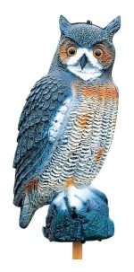 Buho Decorativo Auyenta Palomas Y Roedores Gran Aventura - Imagen 2