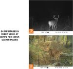 Cámara Trampa Vigilancia Bushnell 24mp Single Core Caza - Imagen 5