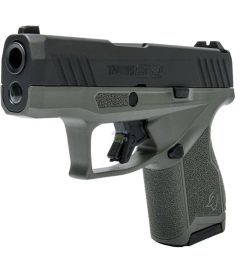 Taurus GX4 9mm