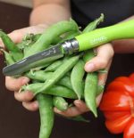 Navaja Opinel N.7 Acero Inoxidable Punta Redonda Verde - Imagen 3