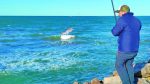 Reel Frontal De Lance Maruri X Power 5000 Costa Rambla Pesca - Imagen 5