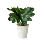 Planta Artificial 23 cm Filodendro