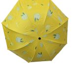 PARAGUA CORTO FRUTALES