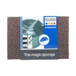 Esponja saca oxido x2