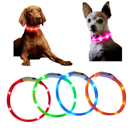 ImagendeWhatsApp2025-03-31alas14.55.29_1c284025.jpg Collar Luminoso para Perro (ch) LED Recargable Ajustable 13 cm - Imagen 1