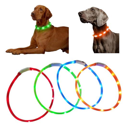 ImagendeWhatsApp2025-03-31alas14.55.29_5bdd818b.jpg Collar Luminoso para Perro (gr) LED Recargable Ajustable 22 cm - Imagen 1