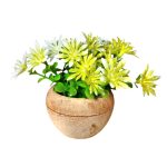 Planta de Plástico 10 cm