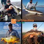 Caña Shimano Exage Xas72hsa 2,16m Pesca Spinning 2t 15-30lb - Imagen 11