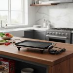 Plancha Eléctrica Con Regulación De Intensidad - Imagen 4