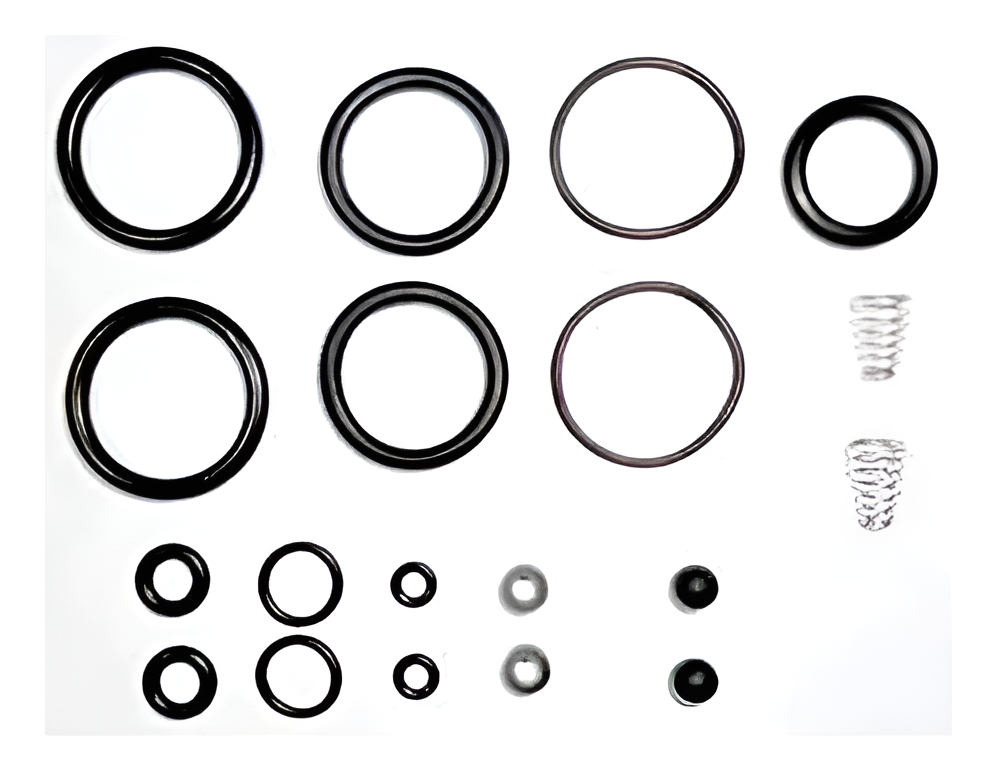 D_678889-MLU93980856855_102025-F.jpg Kit De Orings Para Inflador Pcp C/colocación Incluida - Imagen 1