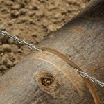 Sierra De Alambre Portátil De Acero Inoxidable Con Mangos - Imagen 8