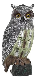 Buho Decorativo Auyenta Palomas Y Roedores Gran Aventura