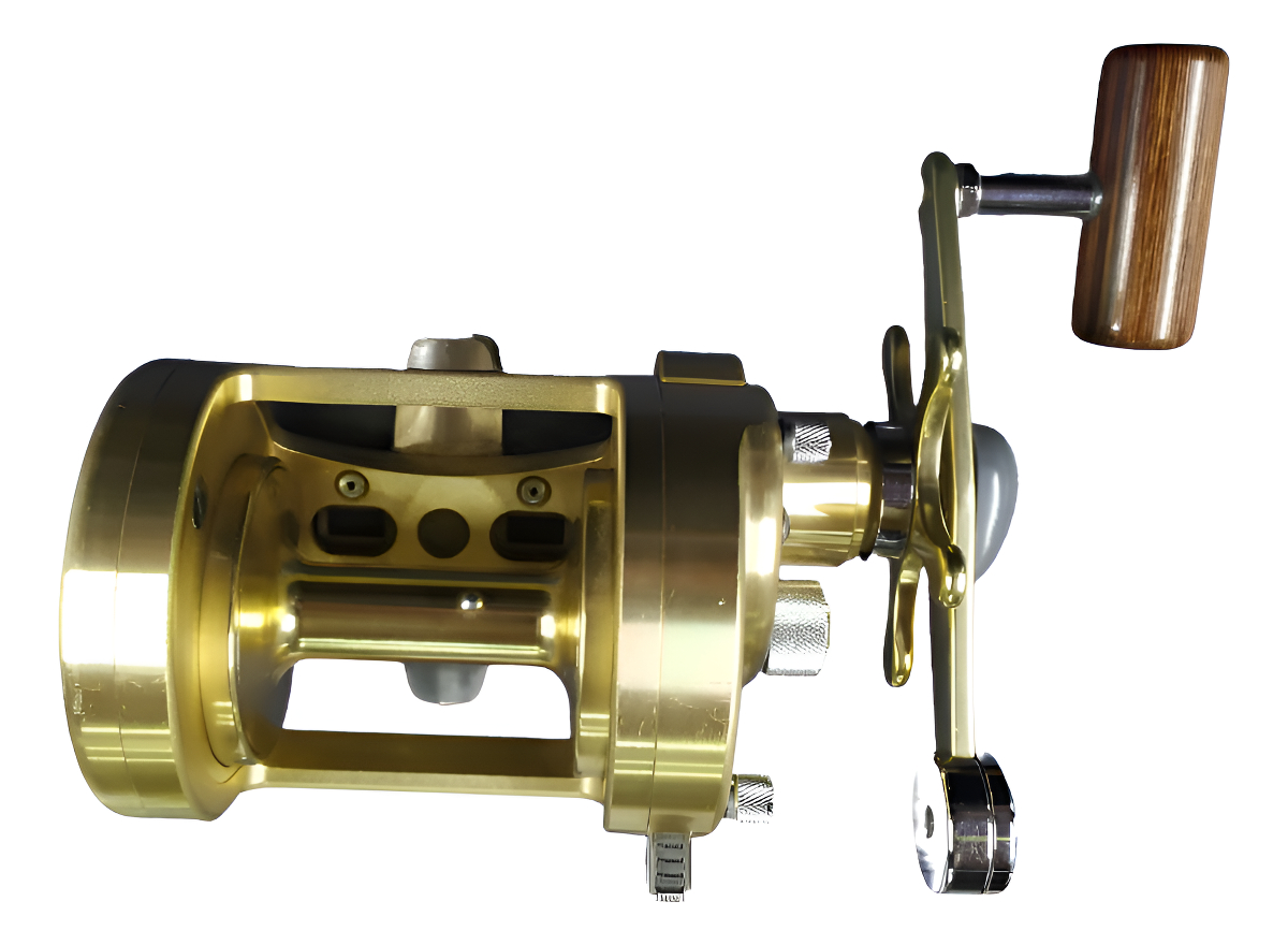 Reel Rotativo Shimano Calcutta 700s Dorado Gran Aventura - Gran