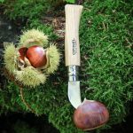 Cuchillo Opinel N°7 Castañas Acero Inoxidable Mango Madera Crema - Imagen 5