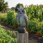 Búho Ahuyentador - Gran Aventura - Espantapajaros - Imagen 4