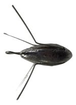 Plomada Con Destrabe 175gr Pesca Lance Gran Aventura - Imagen 3