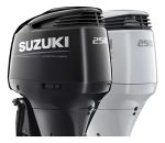 Motor Suzuki Df250apx Fuera D/borda 250hp 4c Inyección 290kg
