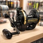 Reel Rotativo Daiwa 20 Sealine Sl20sh Oferta! Gran Aventura - Imagen 8