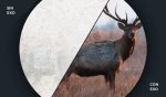Binoculares Bushnell Prime 12 X 50 Max Poder Y Claridad! Negro - Imagen 5