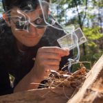 Iniciador De Fuego De Emergencia Para Camping Pesca Solar - Imagen 5