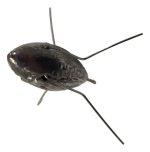 Plomada Con Destrabe 175gr Pesca Lance Gran Aventura