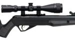 Chumbera Rifle Benjamin Vaporizer 5.5 Nitro Piston Con Mira - Imagen 4