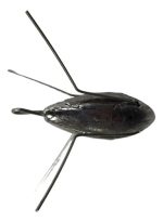 Plomada Con Destrabe 140g  145g Pesca Lance Gran Aventura - Imagen 3