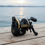 Reel Rotativo Daiwa 20 Sealine Sl20sh Oferta! Gran Aventura - Imagen 3