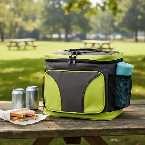 D_671039-MLA104454006858_012026-O.jpg Bolso Lonchera Termica Frio Calor Bebidas Comida Camping - Imagen 1