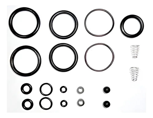 D_678889-MLU93980856855_102025-O.jpg Kit De Orings Para Inflador Pcp C/colocación Incluida - Imagen 1