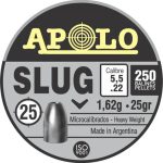 Chumbos Apolo Slug 5.5mm X 250 Uni 25 Grain Potencia