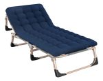 Catre Plegable Reclinable Acolchonado Hasta 160kg 75cm Ancho