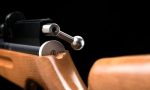 Rifle Chumbra Artemis Pcp M22 5,5 Mm Caza Tiro Con Inflador - Imagen 8