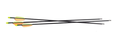 D_721841-MLU41283399847_032020-O.jpg Flechas Para Arco D Fibra D Vidrio Arqueria - Imagen 1